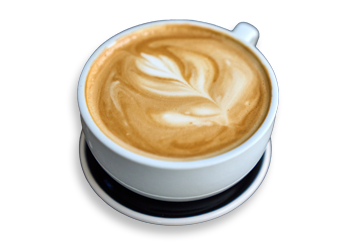 Little Green Hive - Caramel Apple Latte r2