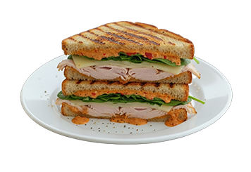 Turkey Panini